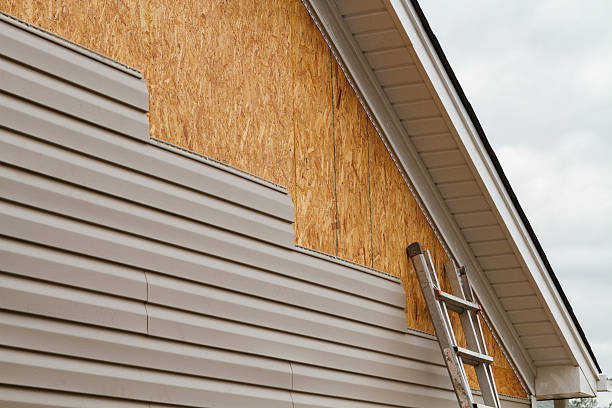 Professional Siding Inspection technician working in Edison, OH